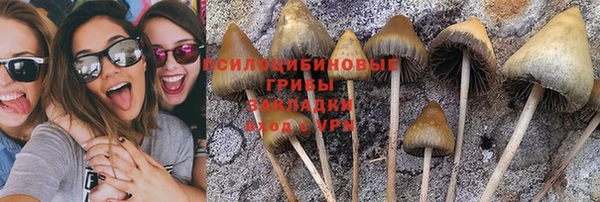 мескалин Балахна