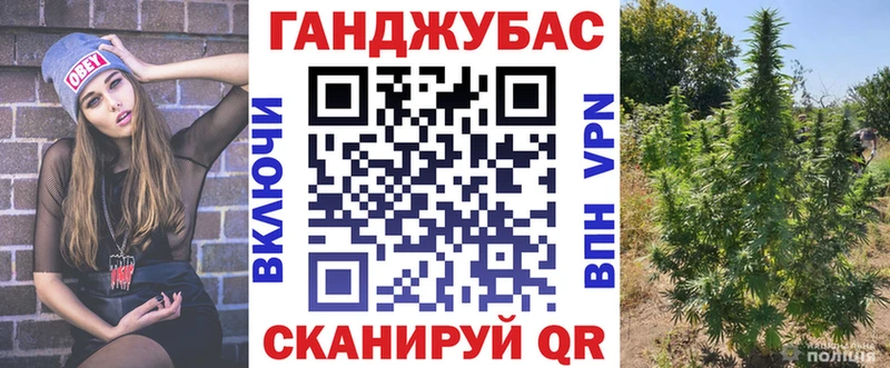 где продают наркотики  Белая Калитва  Канабис сатива 
